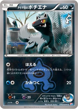일본판 — アクア団のポチエナ — XY コンセプトパック「マグマ団VSアクア団 ダブルクライシス」 016/034 C