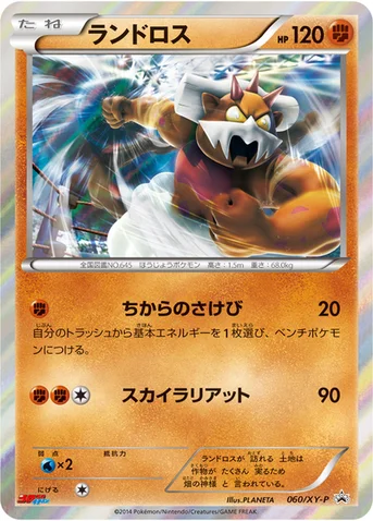 ランドロス — XY プロモカード 060 등급 표기 없음