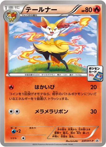 テールナー — XY プロモカード 237 등급 표기 없음