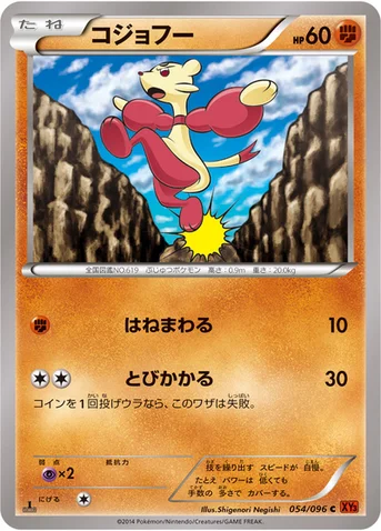 コジョフー — XY 拡張パック「ライジングフィスト」 054/096 C