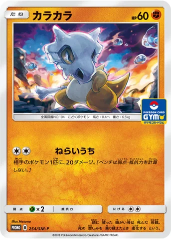 カラカラ — SM プロモカード 254 등급 표기 없음