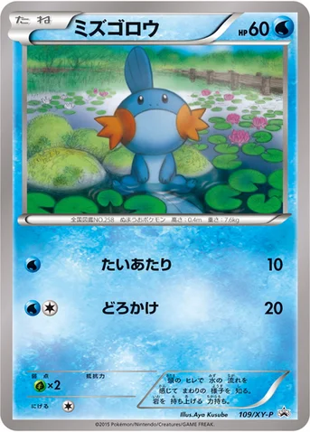 ミズゴロウ — XY プロモカード 109 등급 표기 없음