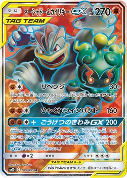 일본판 — マーシャドー&カイリキーGX — 拡張パック「ダブルブレイズ」 100/095 SR