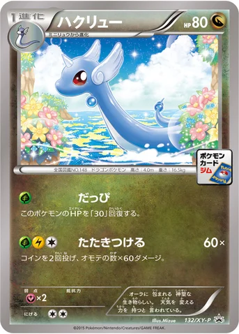 ハクリュー — XY プロモカード 132 등급 표기 없음