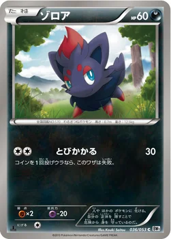 ゾロア — BW 拡張パック「ホワイトコレクション」 036/053 C