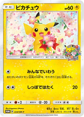 ピカチュウ — SM プロモカード 224 등급 표기 없음