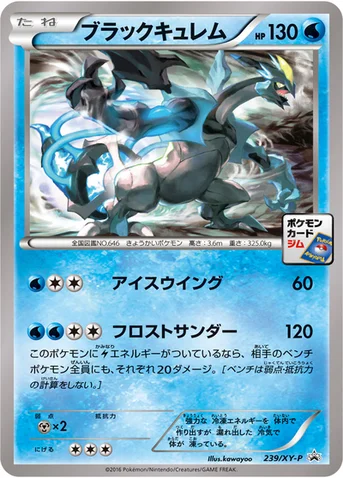 ブラックキュレム — XY プロモカード 239 등급 표기 없음