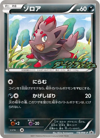 ゾロア — BW プロモカード 116 등급 표기 없음