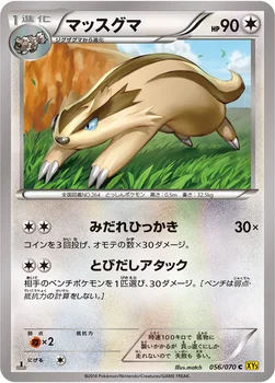 マッスグマ — XY 拡張パック「ガイアボルケーノ」 056/070 C