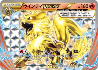 ウインディBREAK — XY プロモカード 267 등급 표기 없음