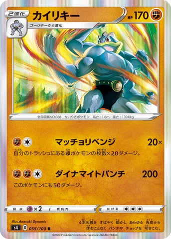 カイリキー — 拡張パック「仰天のボルテッカー」 055/100 R