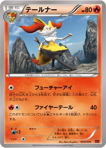 テールナー — XY 「メガマスターデッキビルドBOX パワースタイル」 003/049 등급 표기 없음