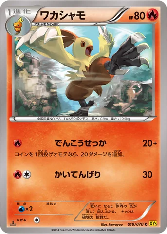 ワカシャモ — XY 拡張パック「ガイアボルケーノ」 019/070 C
