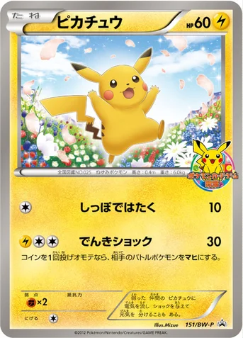 ピカチュウ — BW プロモカード 151 등급 표기 없음
