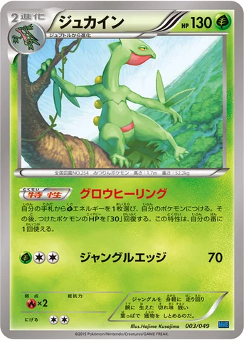 ジュカイン — XY 「メガマスターデッキビルドBOX スピードスタイル」 003/049 등급 표기 없음