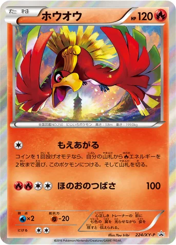ホウオウ — XY プロモカード 224 등급 표기 없음
