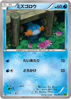 ミズゴロウ — XY 拡張パック「タイダルストーム」 012/070 C