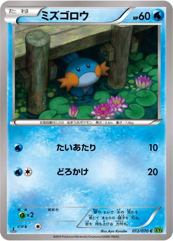 ミズゴロウ — XY 拡張パック「タイダルストーム」 012/070 C