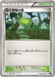 巨大植物の森 — 「プレミアムトレーナーボックス」 016/018 —