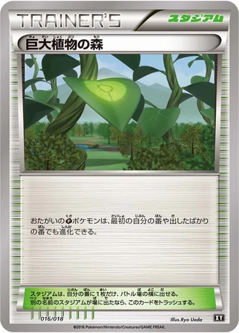 巨大植物の森 — 「プレミアムトレーナーボックス」 016/018 등급 표기 없음