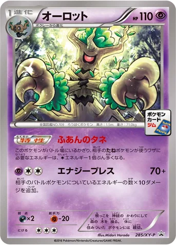 オーロット — XY プロモカード 285 등급 표기 없음