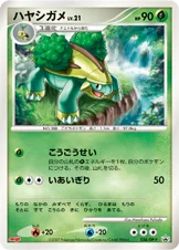 ハヤシガメ — DP プロモカード 034 등급 표기 없음