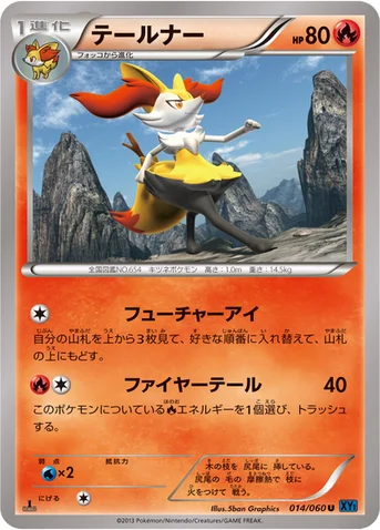 テールナー — XY 拡張パック「コレクションX」 014/060 U