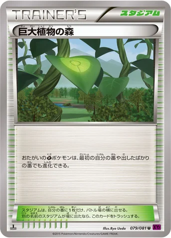 巨大植物の森 — XY 拡張パック「バンデットリング」 079/081 U
