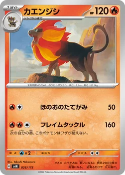 일본판 — カエンジシ — スタートデッキ Generations 026/175 —