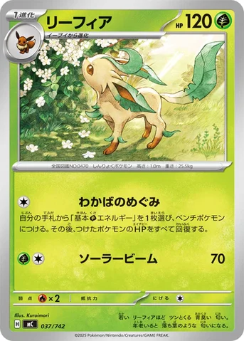 リーフィア — スタートデッキ100 バトルコレクション 037/742 등급 표기 없음