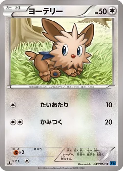 ヨーテリー — XY 拡張パック「コレクションX」 049/060 C