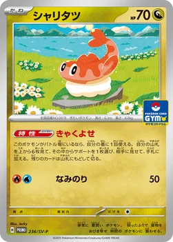 일본판 — シャリタツ — SV プロモカード 236 —