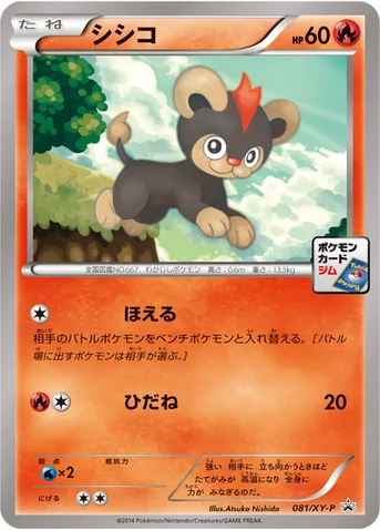 シシコ — XY プロモカード 081 등급 표기 없음