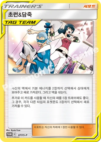 초련&담죽 — 소드&실드 프로모 카드 077 등급 표기 없음