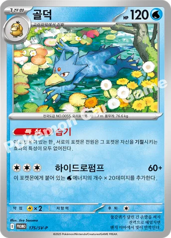 골덕 — 스칼렛&바이올렛 프로모 카드 175 등급 표기 없음