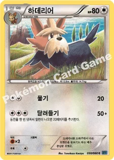 하데리어 — XY 확장팩 제1탄 「X컬렉션」 050/060 C