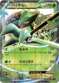 나무킹 EX — XY 확장팩 제7탄 「밴디트링」 007/081 RR