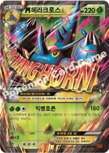 한국판 — M헤라크로스 EX — XY 확장팩 제3탄 「라이징피스트」 005/096 RR