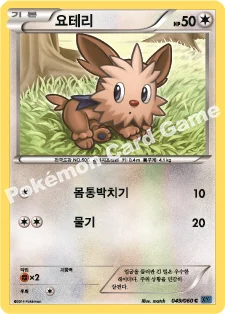 요테리 — XY 확장팩 제1탄 「X컬렉션」 049/060 C