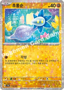 한국판 — 초롱순 — 스칼렛&바이올렛 하이클래스팩 「샤이니트레저 ex」 110 · m —