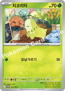 한국판 — 치코리타 — MEGA 프로모 카드 001 —