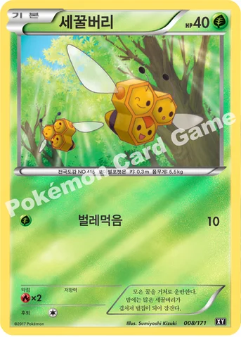 세꿀버리 — 하이클래스팩 「THE BEST OF XY」 008/171 등급 표기 없음