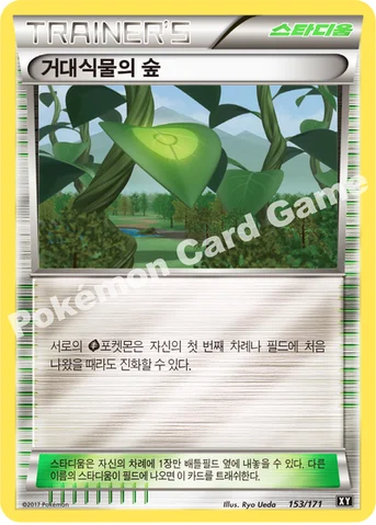 거대식물의 숲 — 하이클래스팩 「THE BEST OF XY」 153/171 등급 표기 없음