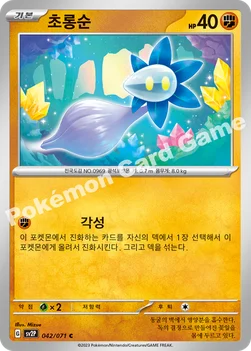 초롱순 — 스칼렛&바이올렛 확장팩 「스노해저드」 042/071 C