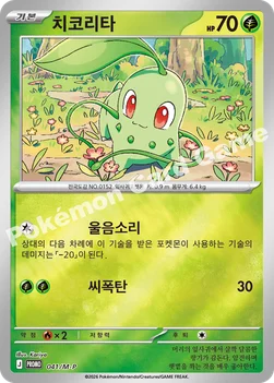 한국판 — 치코리타 — MEGA 프로모 카드 041 —