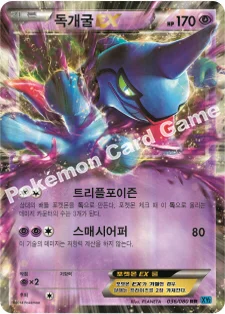 독개굴 EX — XY 확장팩 제2탄 「와일드 블레이즈」 036/080 RR